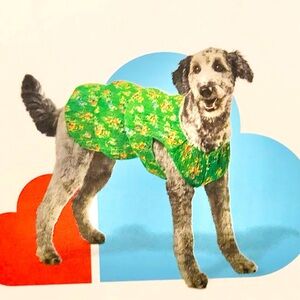 Boots & Barkley Dog Floral Green Dress Large